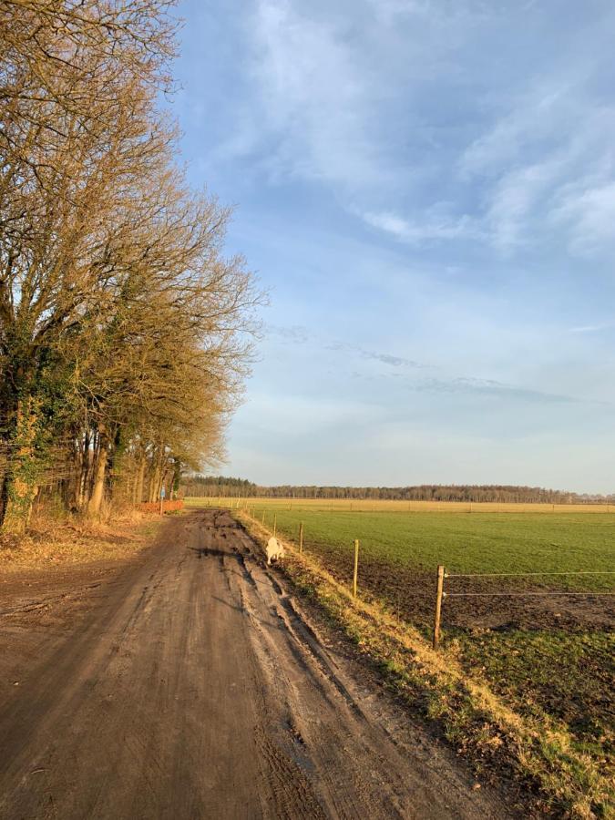 'T Holten Huus - Puur Genieten In Het Bos. Norg Екстериор снимка