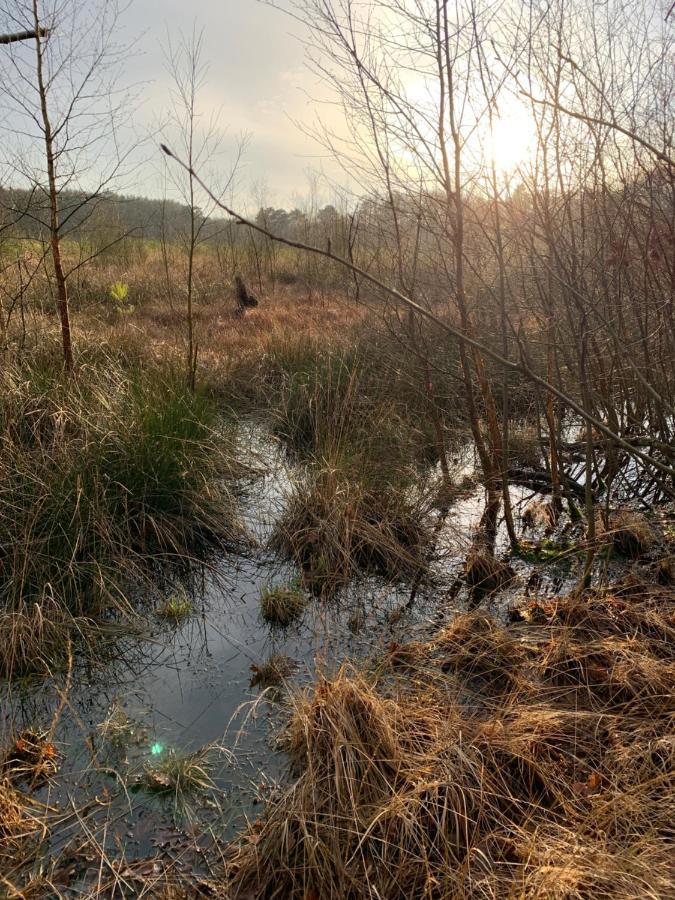 'T Holten Huus - Puur Genieten In Het Bos. Norg Екстериор снимка